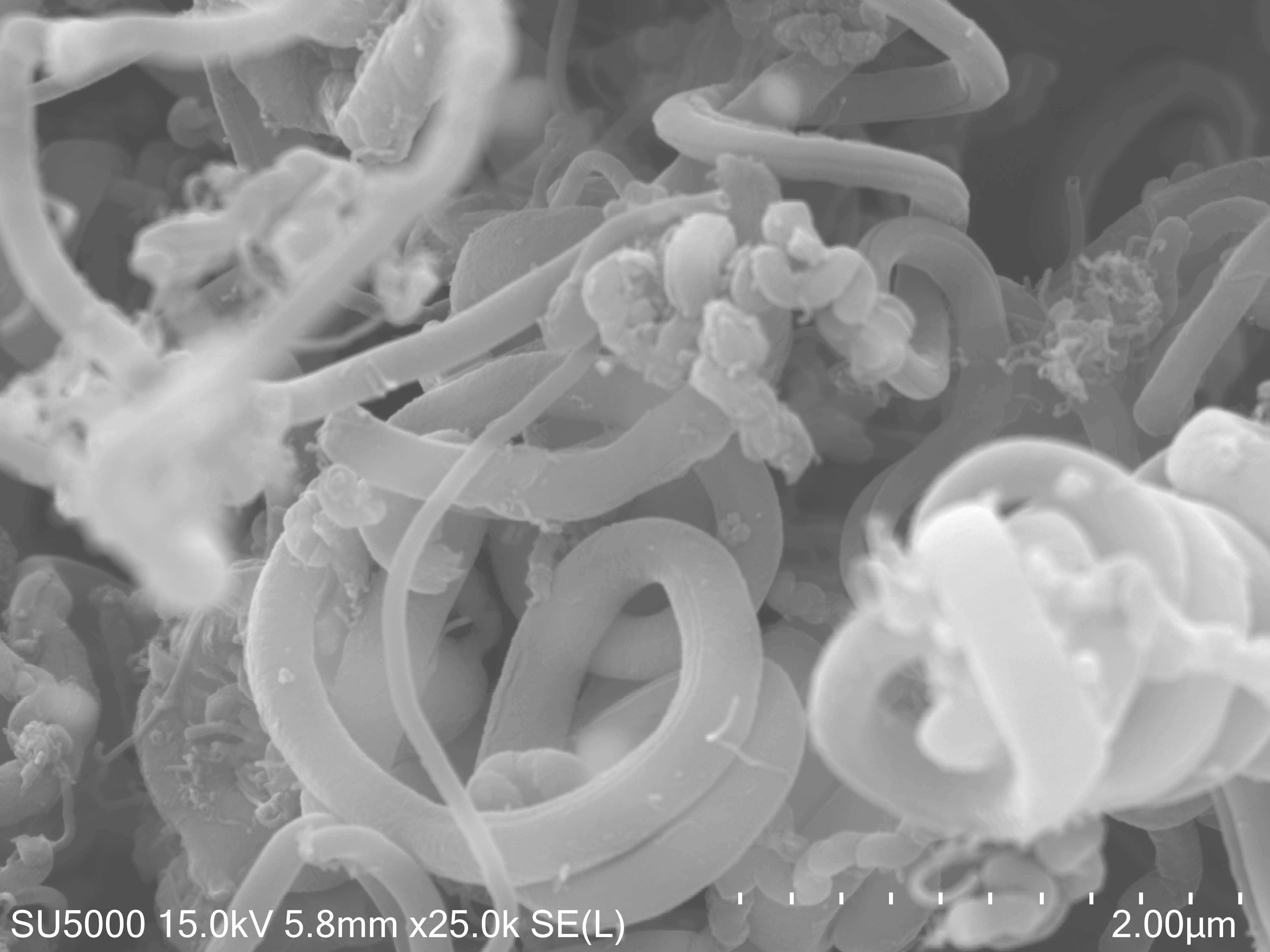 Nano particle shape & size (wire / Silica nano powder) SEM Image