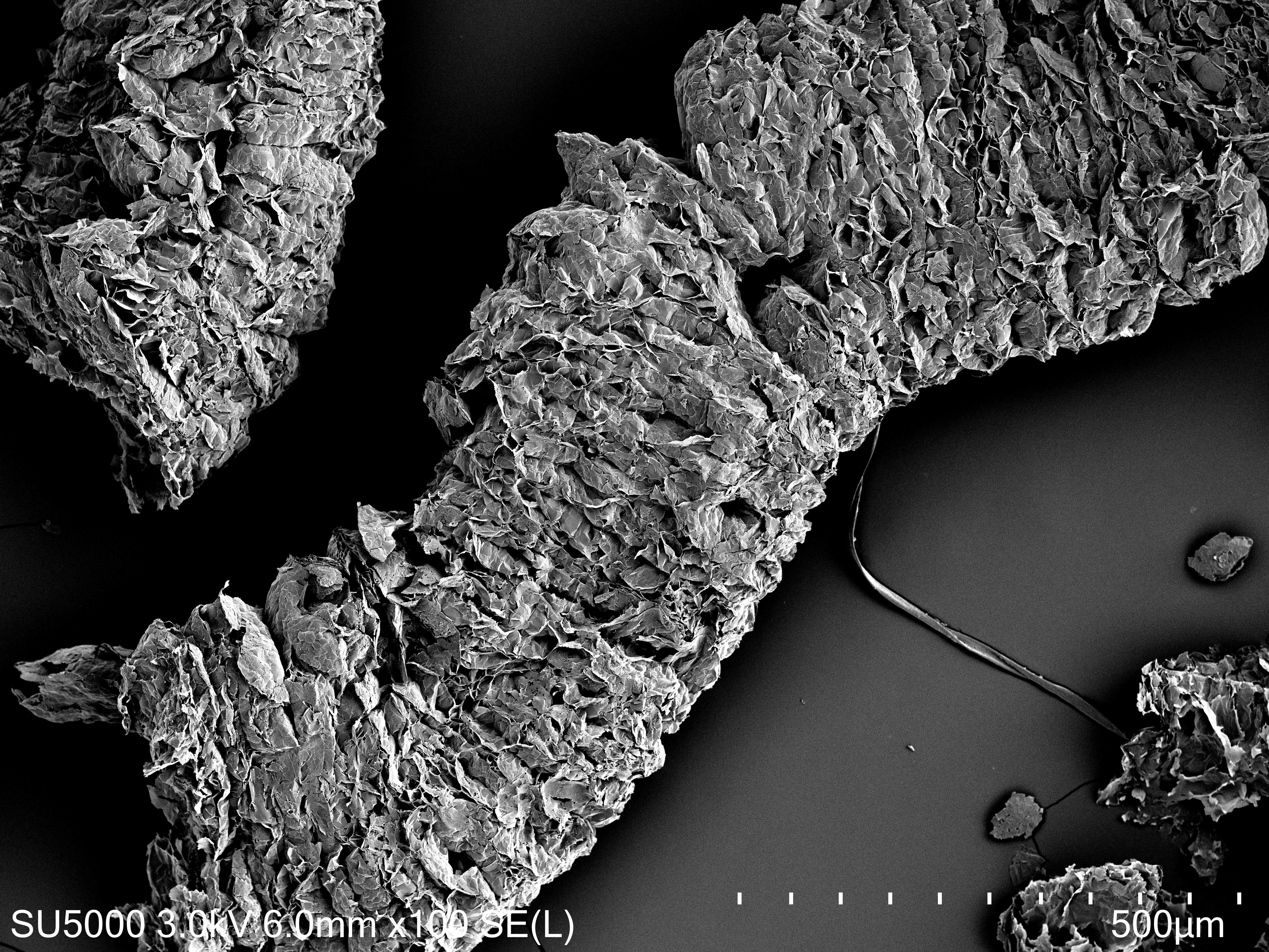 Expanded graphite 마이크로 구조 (micro/nano structure) SEM 분석 예시
