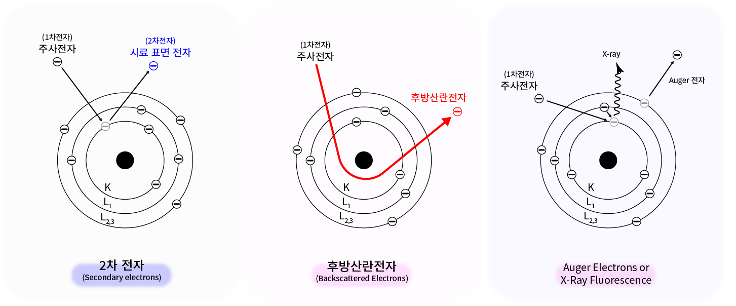 전자빔과 시료의 상호작용 전자빔과 시료의 상호작용을 나타낸 그림(2차전자, 후방산란전자, 오거전자 등)