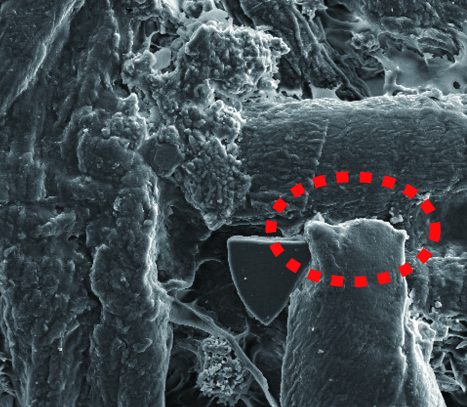 Edge effect image